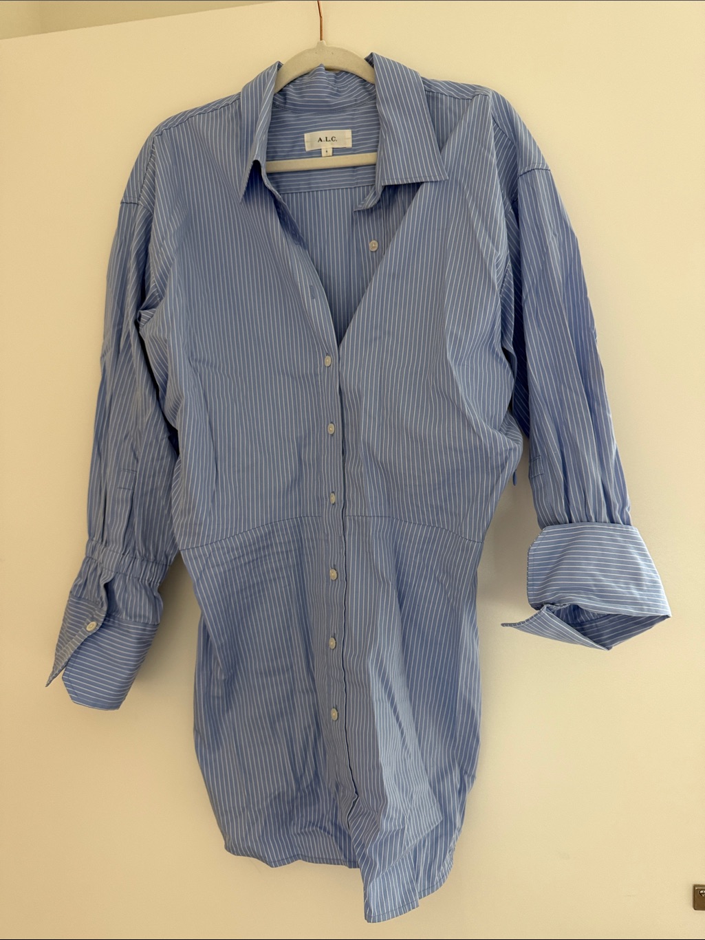A.L.C. Light Blue Pinstripe Men's Button-Down Shirt